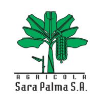 Sara Palma Nuestros Clientes